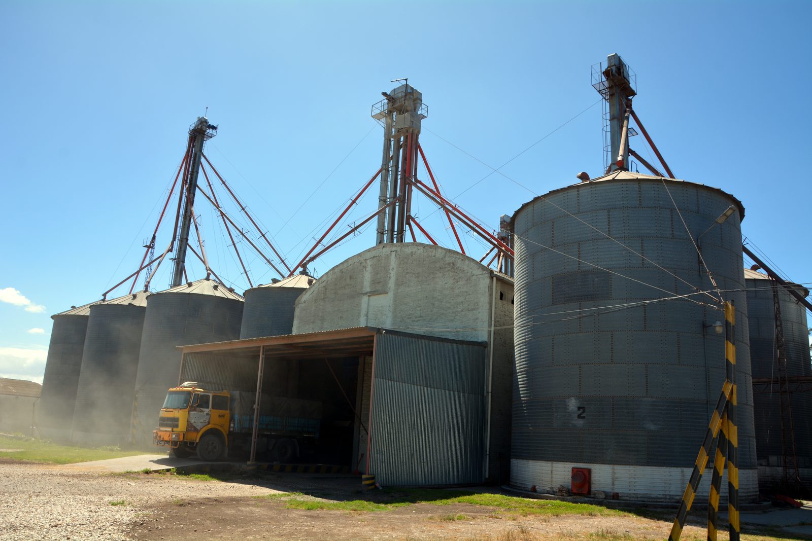 Vista frontal de la planta